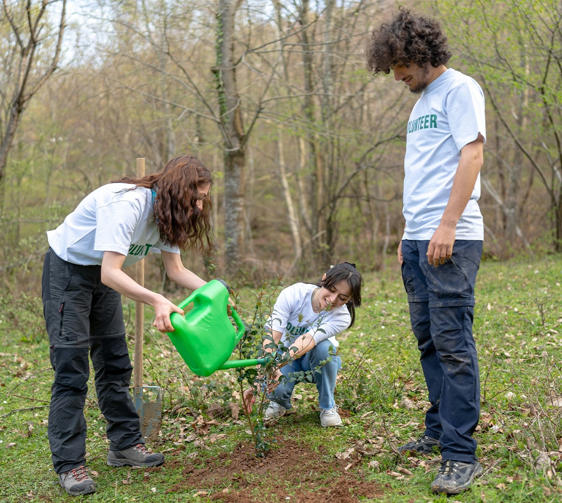 Three volunteers in white shirts are planting a tree in an outdoor setting. One person is watering the sapling with a green watering can, while another is tending to the soil, and the third observes.