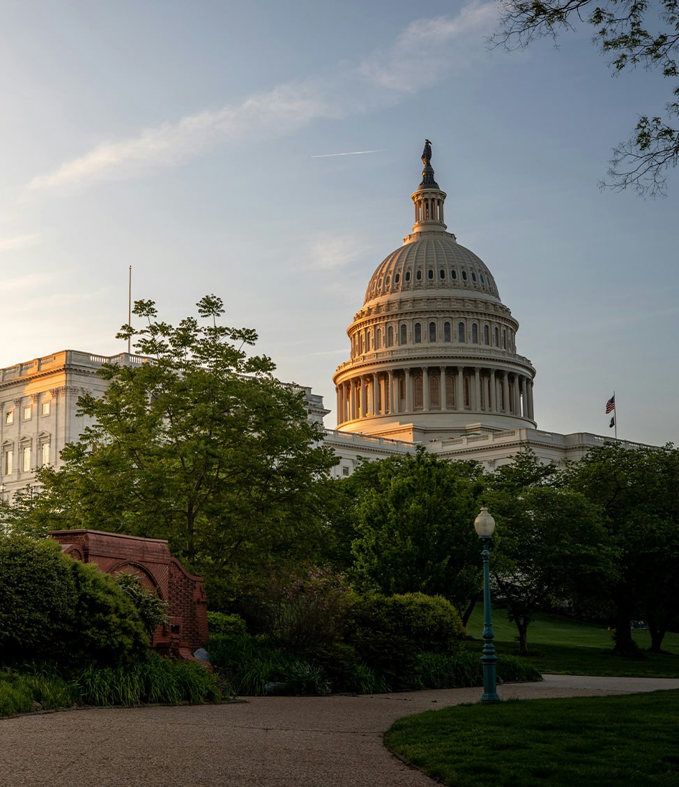 The U.S. Capitol building, bathed in evening light, with surrounding trees and a lamppost in the foreground.